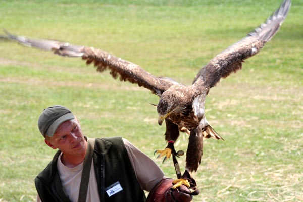 Killikus&reg; Fotographie